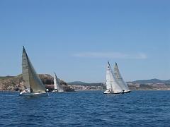 la solitaire 173